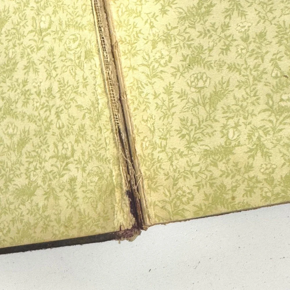 Antique Oliver Goldsmith Leather Bound Book Embossed Floral Burgundy Gold Gilt